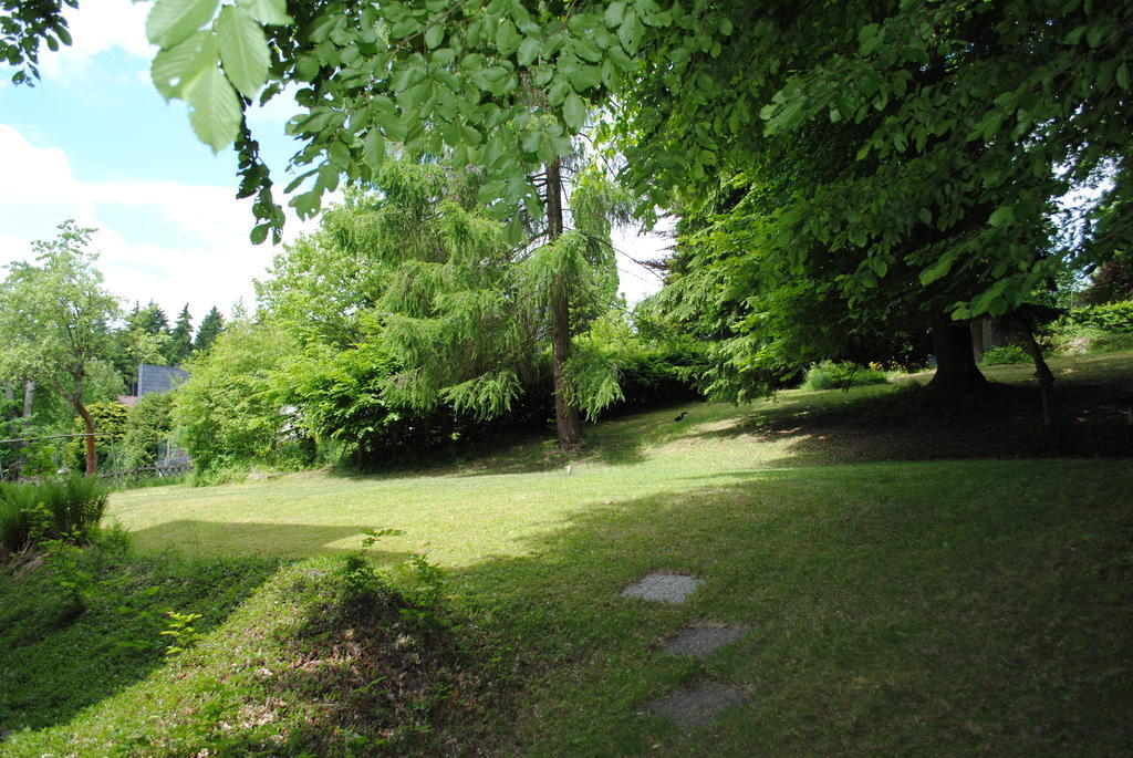 Panorama Hotel Pension Frohnau Bad Sachsa Pokoj fotografie