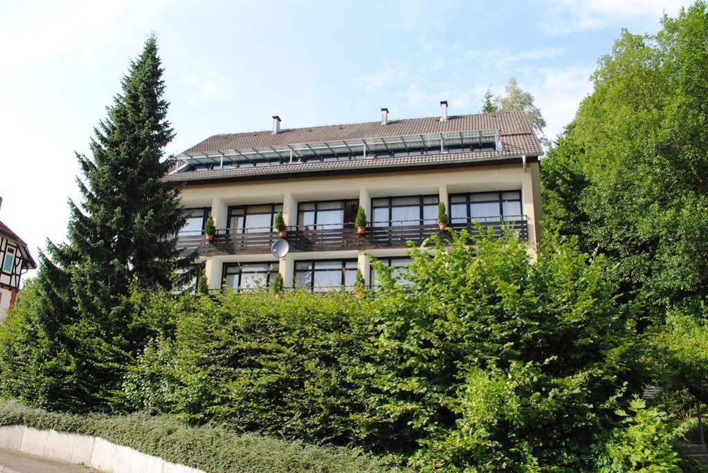 Panorama Hotel Pension Frohnau Bad Sachsa Exteriér fotografie